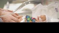 Woman's hands reaching for premature infant