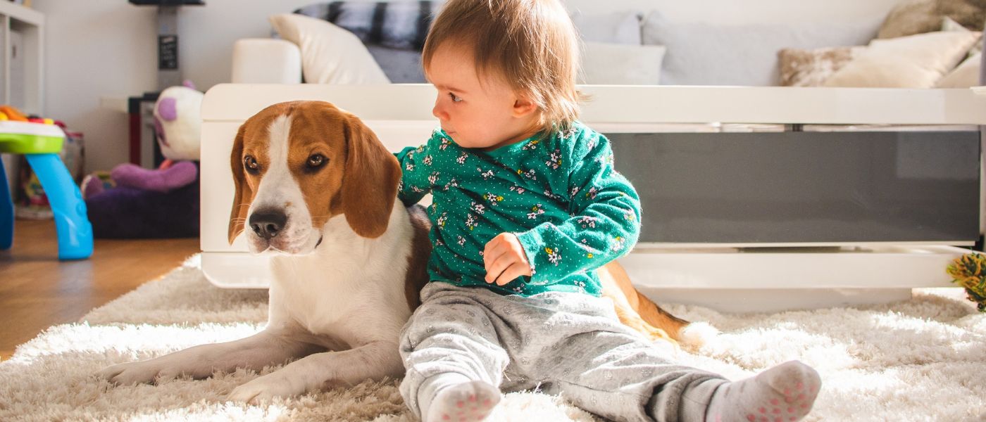 Laughing boy with puppy