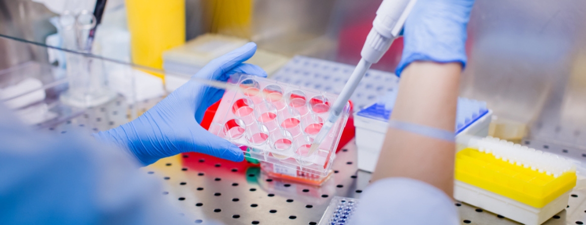 A researcher uses a pipette