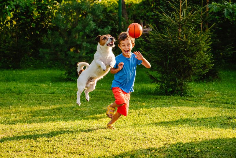 A child and a dog playing with a ball