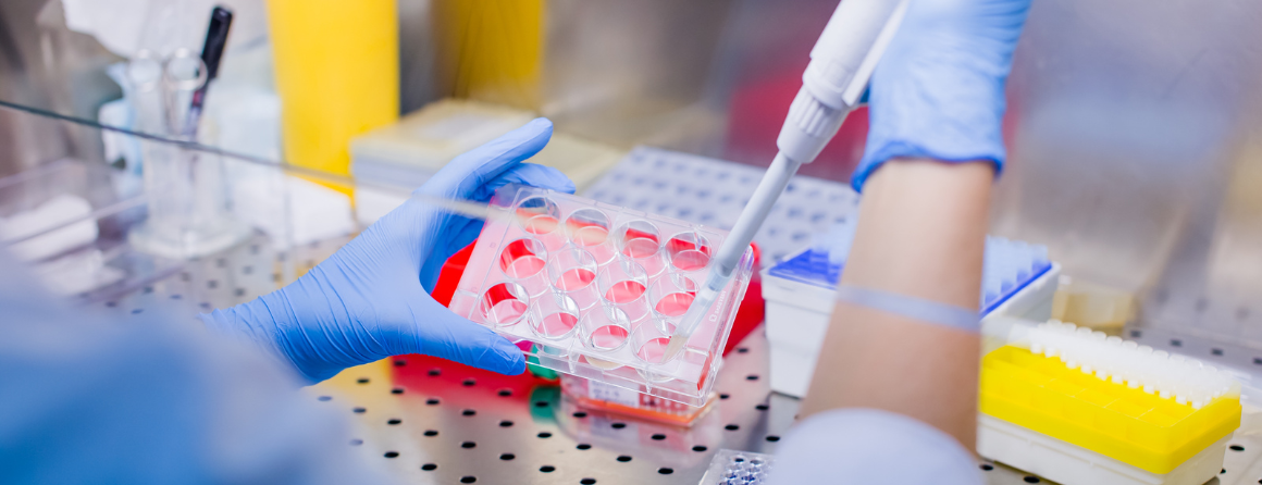 Scientist with pipettes in a lab