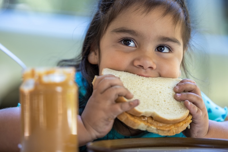 A child eating a peanut butter sandwich, a common allergy trigger