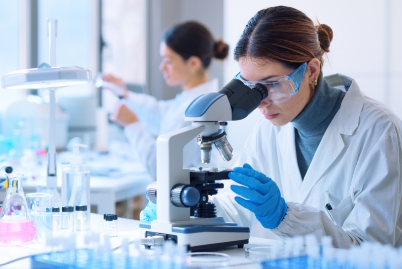 A researcher looks under a microscope