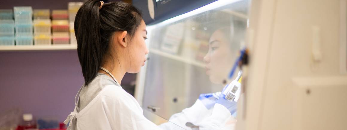 researchers in labs