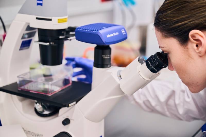 A researcher looking at genetic samples