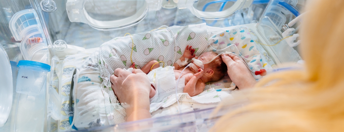 Newborn baby in humidicrib