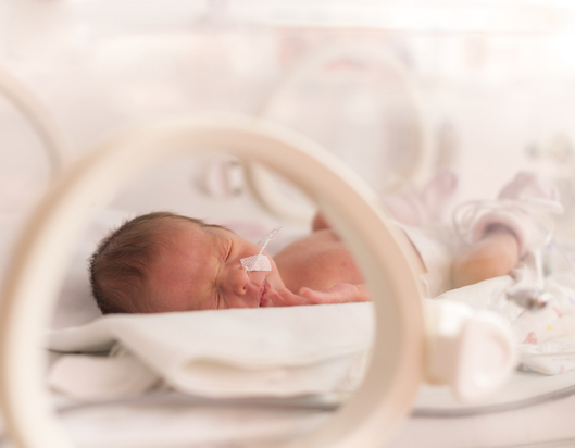 Preterm baby in incubator