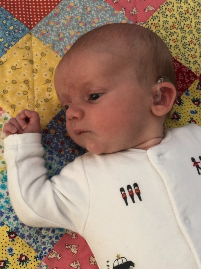 Teddy infant