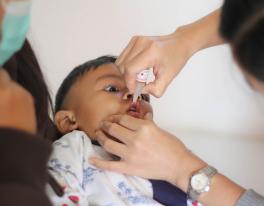 Rotavirus 529x412