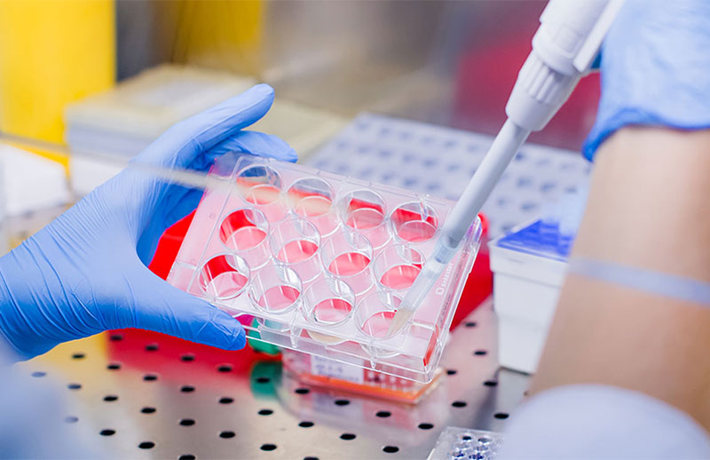 Scientist in the laboratory