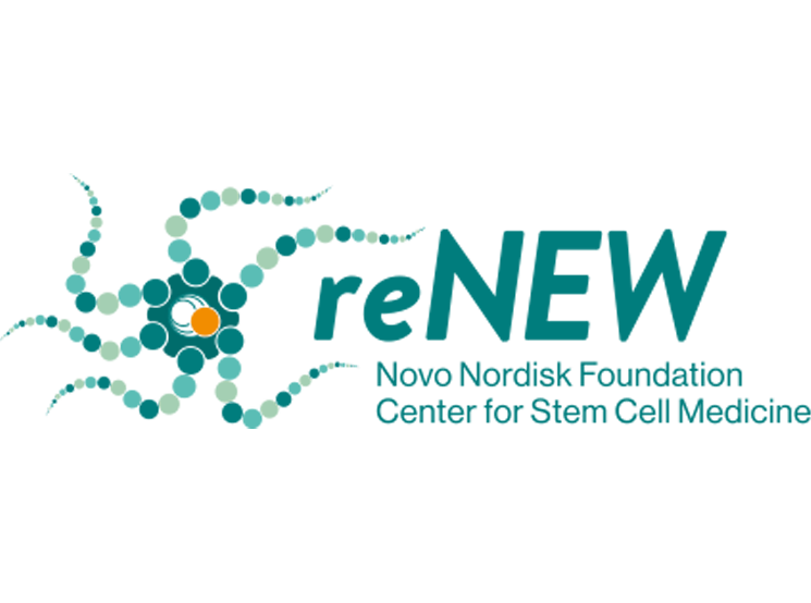 reNEW logo