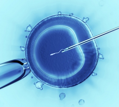 Microscope detail of IVF