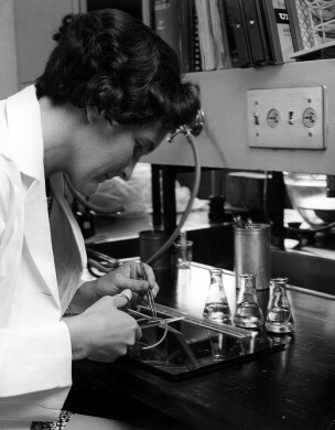 Professor Ruth Bishop