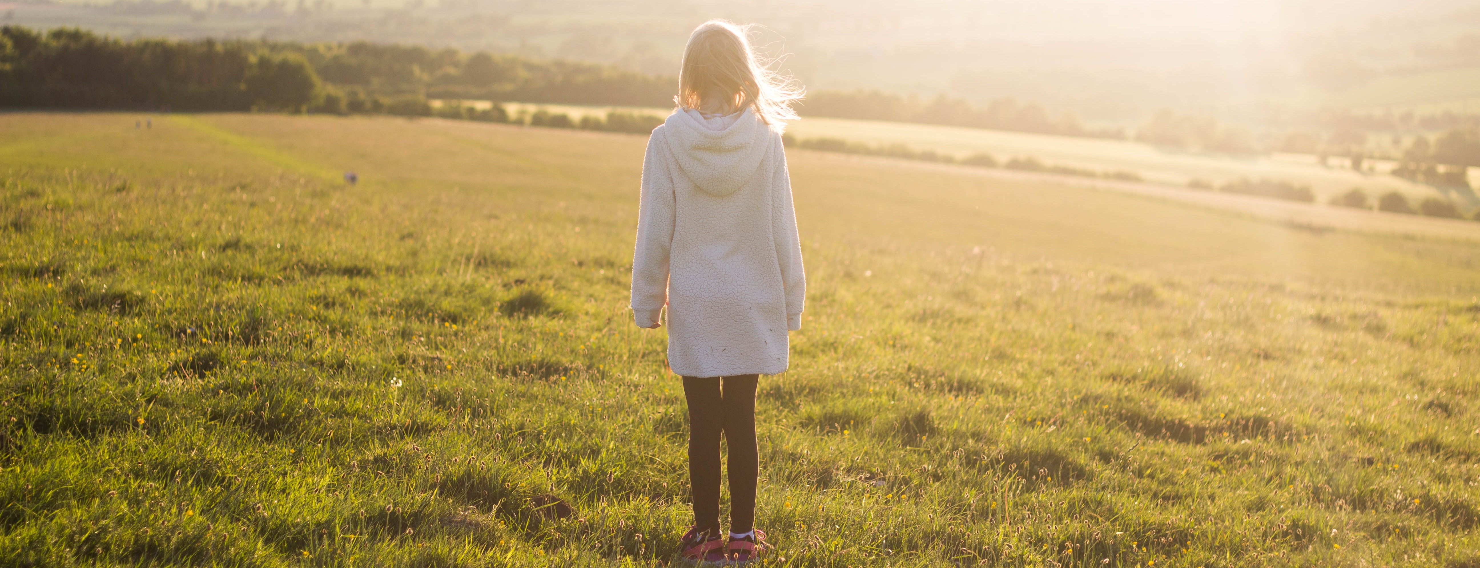 Bullying research children