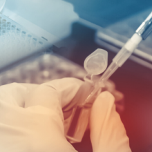 A syringe used in a genetic test