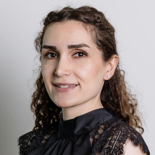 Sahel Amoozadeh
