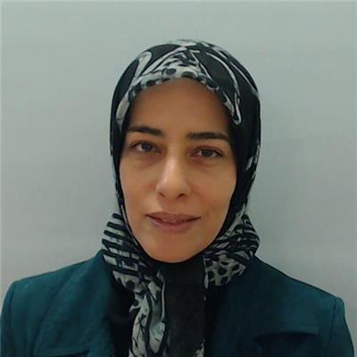 Dr Sedigh Khademi Habibabadi