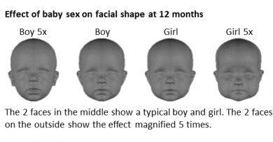face shape image