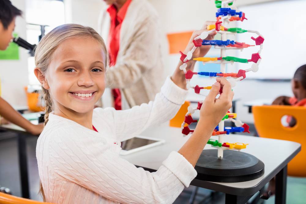 child with DNA toy