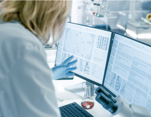 Researchers working in lab