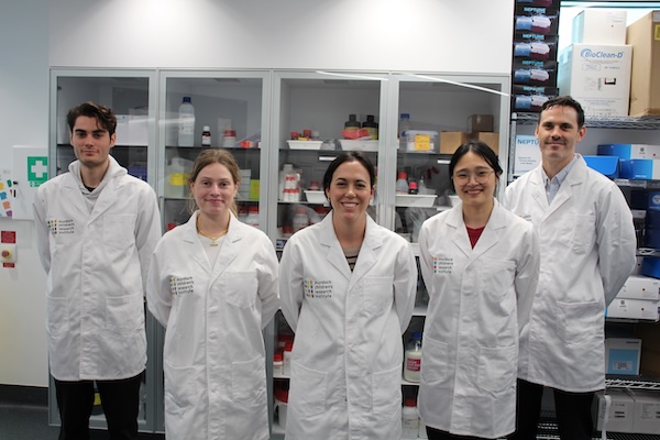 Heart Regeneration team members Adriano Morandini, Jessica Durrant-Whyte, Holly Voges, Serene Yeow, Adam Piers.