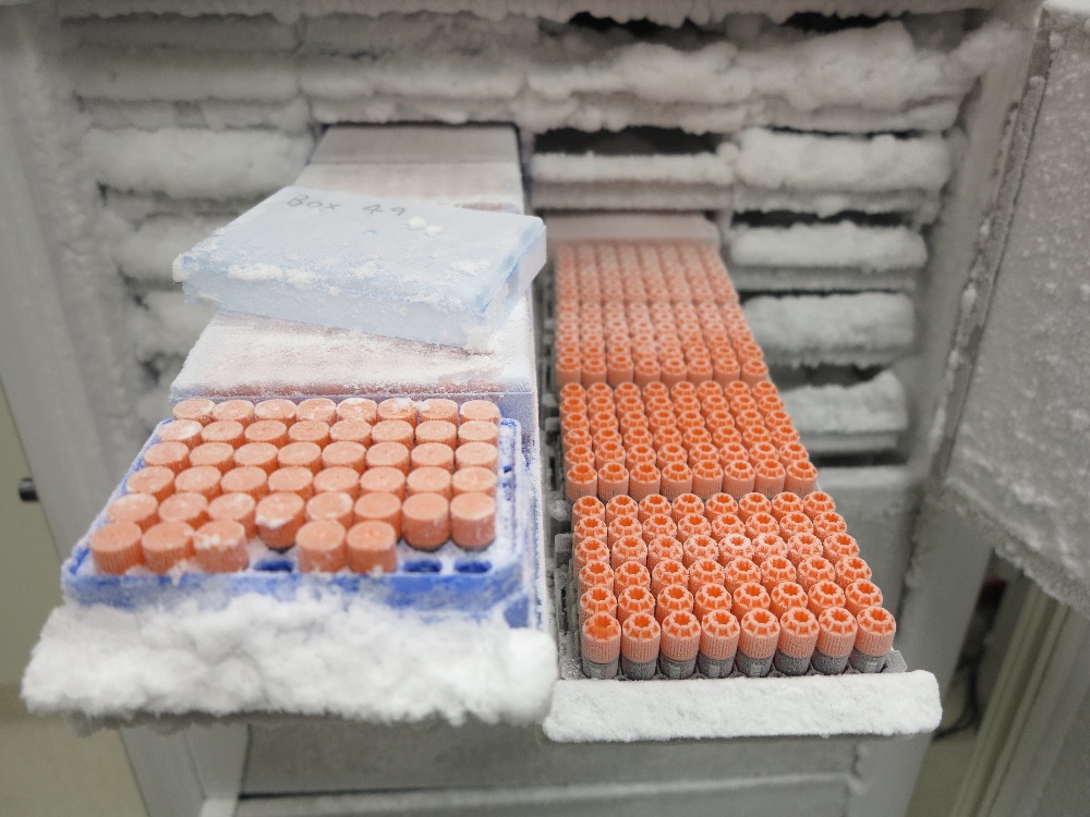 CCC Biobank tubes