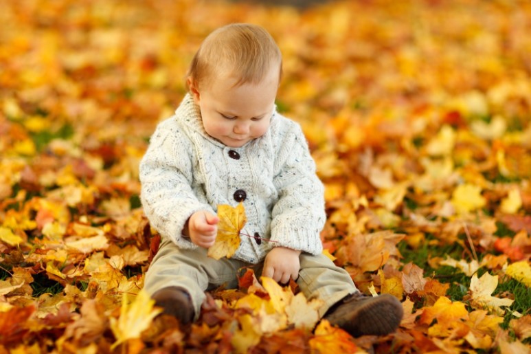 child playing in autumn leaves
