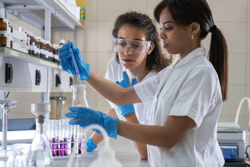 Researchers at the disease modelling facility