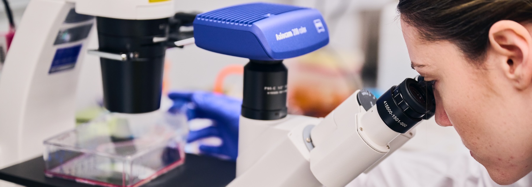 Researcher in laboratory